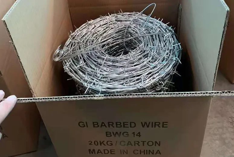 Shipping