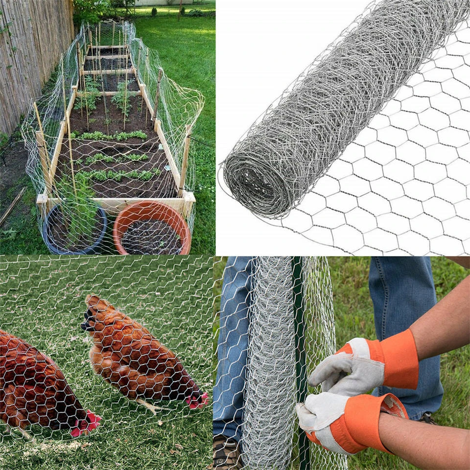 Hog Wire Fence for Poultry Protection