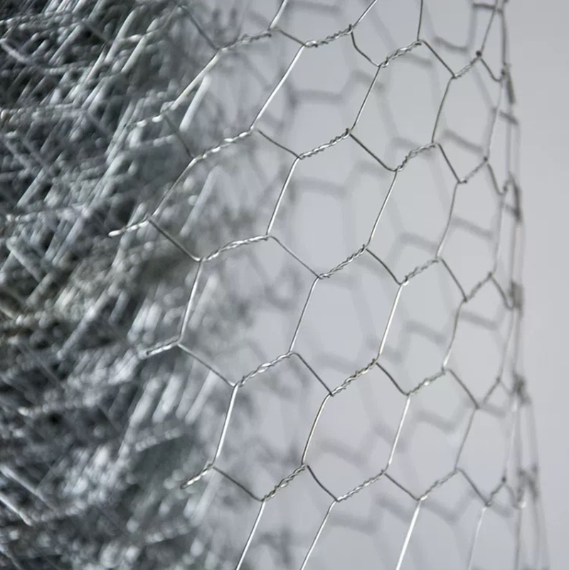 Restoring Historic Vineyards with Galvanized Hexagonal Wire Mesh