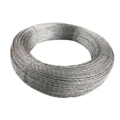 Soft Black Annealed Wire-Dingzhou Lanye Metal Products Co., Ltd.|High-Quality Industrial Solutions