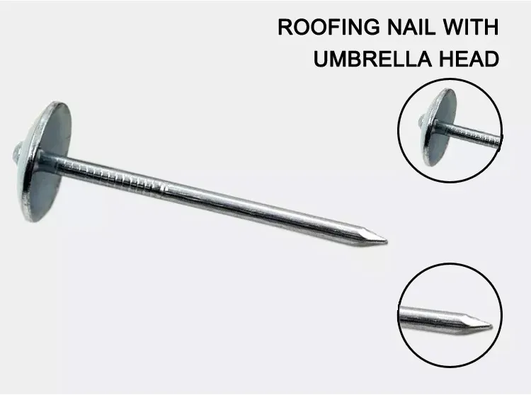 collated roofing nails collated roofing nails
