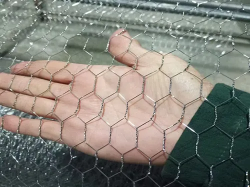 chicken wire fence