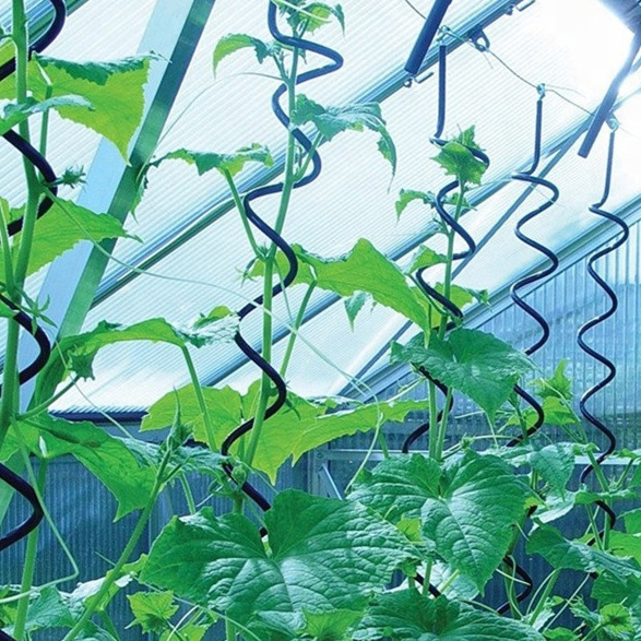 spiral tomato climbing support