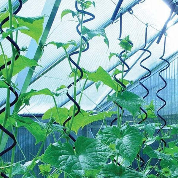 https://www.lanyewiremesh.com/tomato-spiral-stakes-plant-support-stakes-product/